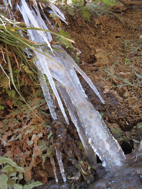 IMG_6873.JPG