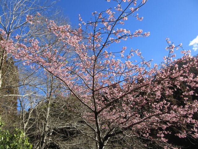 IMG_7112.JPG